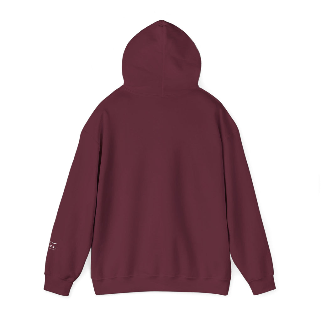 Cozy Unisex Hooded Sweatshirt - Perfect for Lounging, Gifting, Travel, Winter Fashion, Everyday Wear