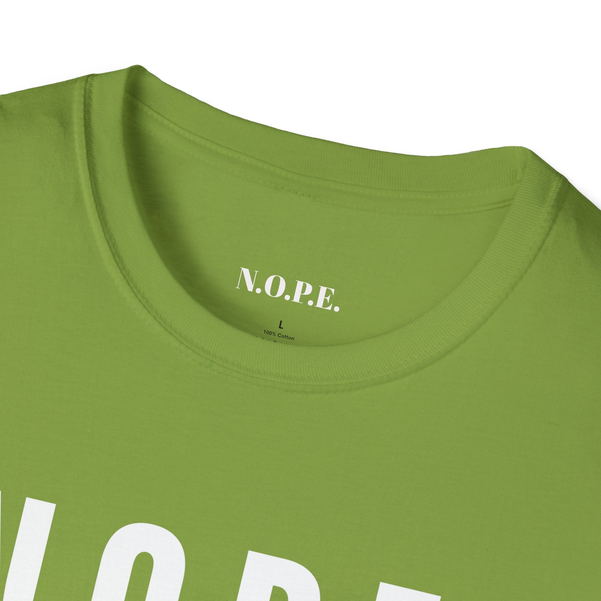 Softstyle Graphic T-Shirt, Casual Tee, Gift for Friends, Summer Apparel, Birthday Present, Trendy Outfit